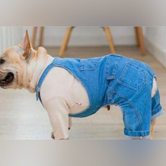 BLUE JEANS DOG OVERALLS Size Small - Picture 1 of 4